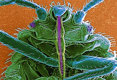 《沉浮》Steam测试今日开启！脑洞造船趣味闯关